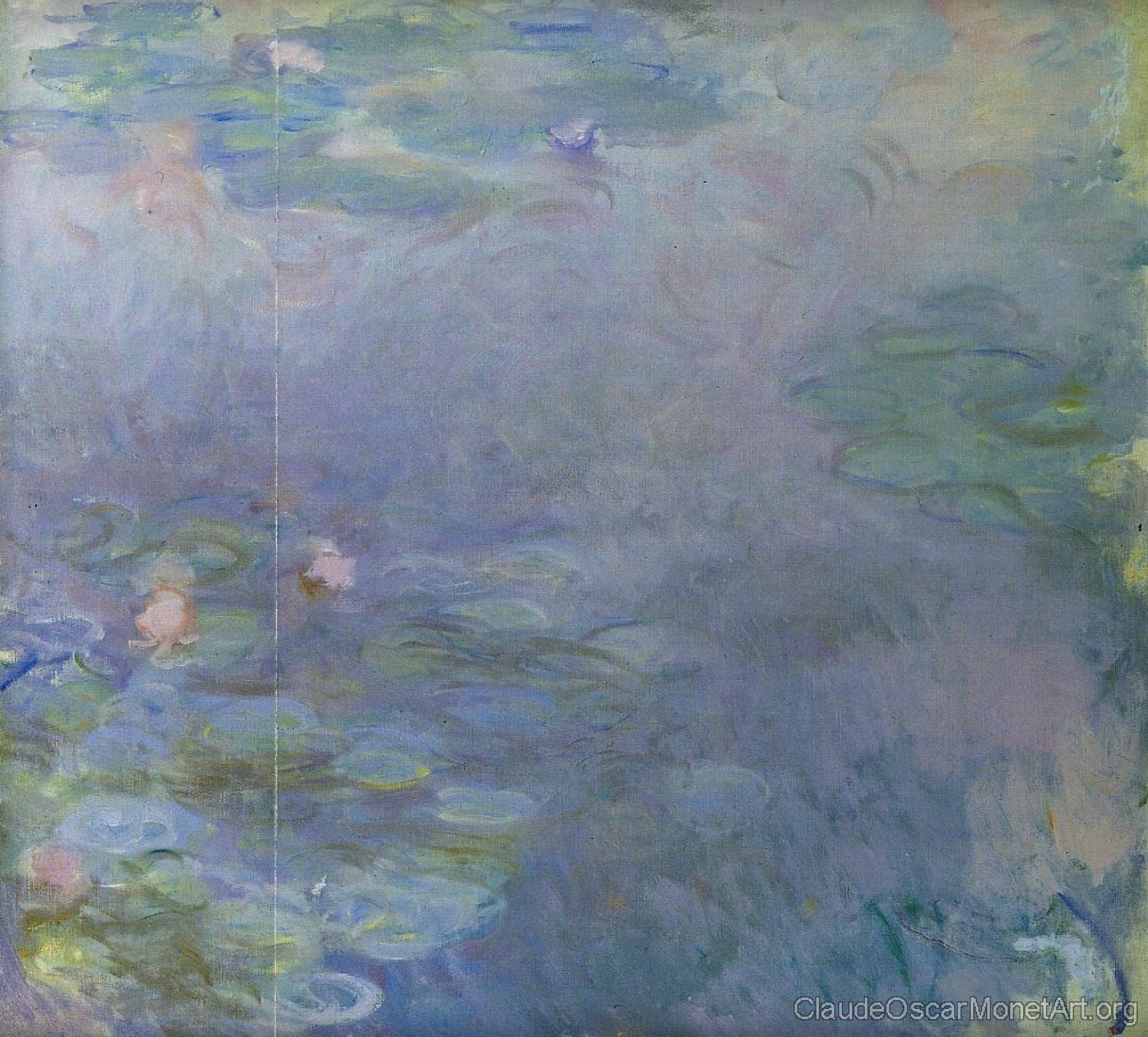 Pale Water-Lilies